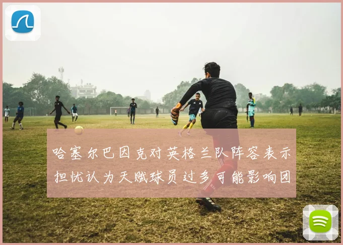 哈塞尔巴因克对英格兰队阵容表示担忧认为天赋球员过多可能影响团队合作