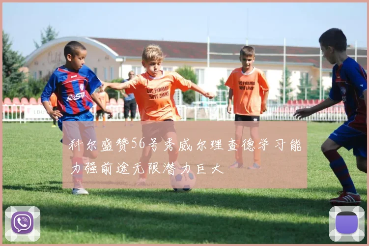 科尔盛赞56号秀威尔理查德学习能力强前途无限潜力巨大