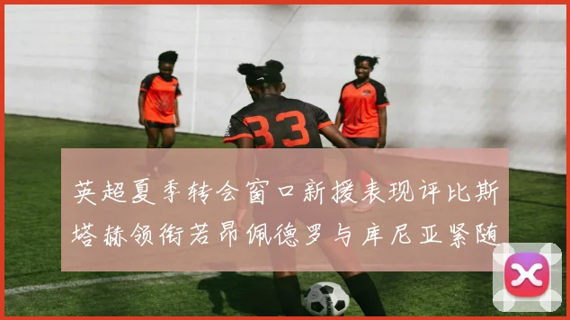 英超夏季转会窗口新援表现评比斯塔赫领衔若昂佩德罗与库尼亚紧随其后